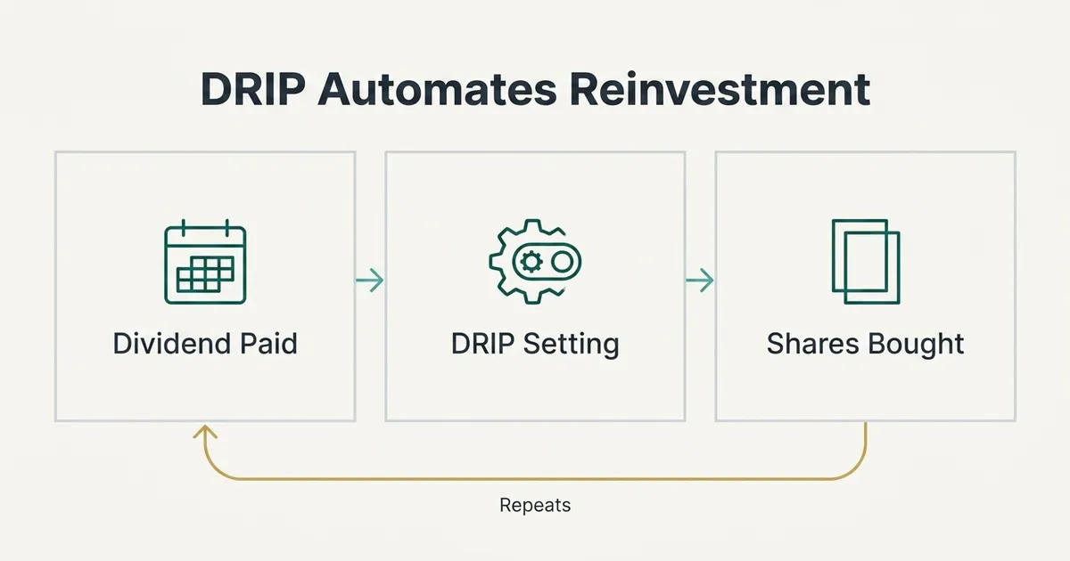 A flat vector diagram titled 'DRIP Automates Reinvestment' shows a three-step left-to-right flow: a calendar icon labeled…