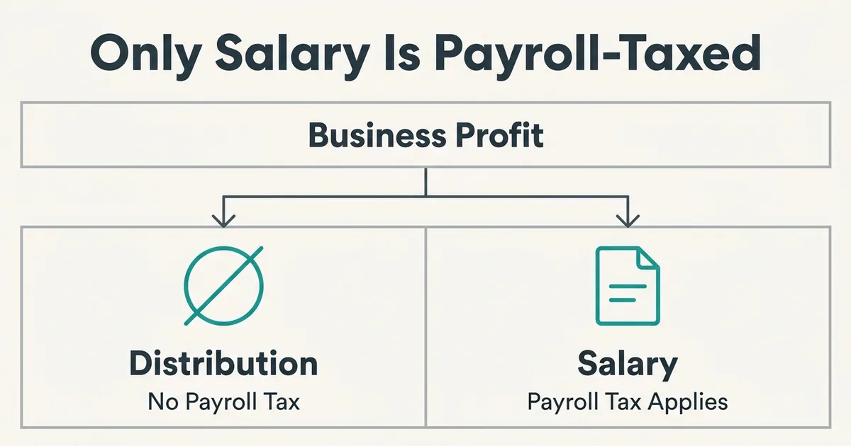 A flowchart titled 'Only Salary Is Payroll-Taxed' shows a single 'Business Profit' box at the top splitting into two boxes…